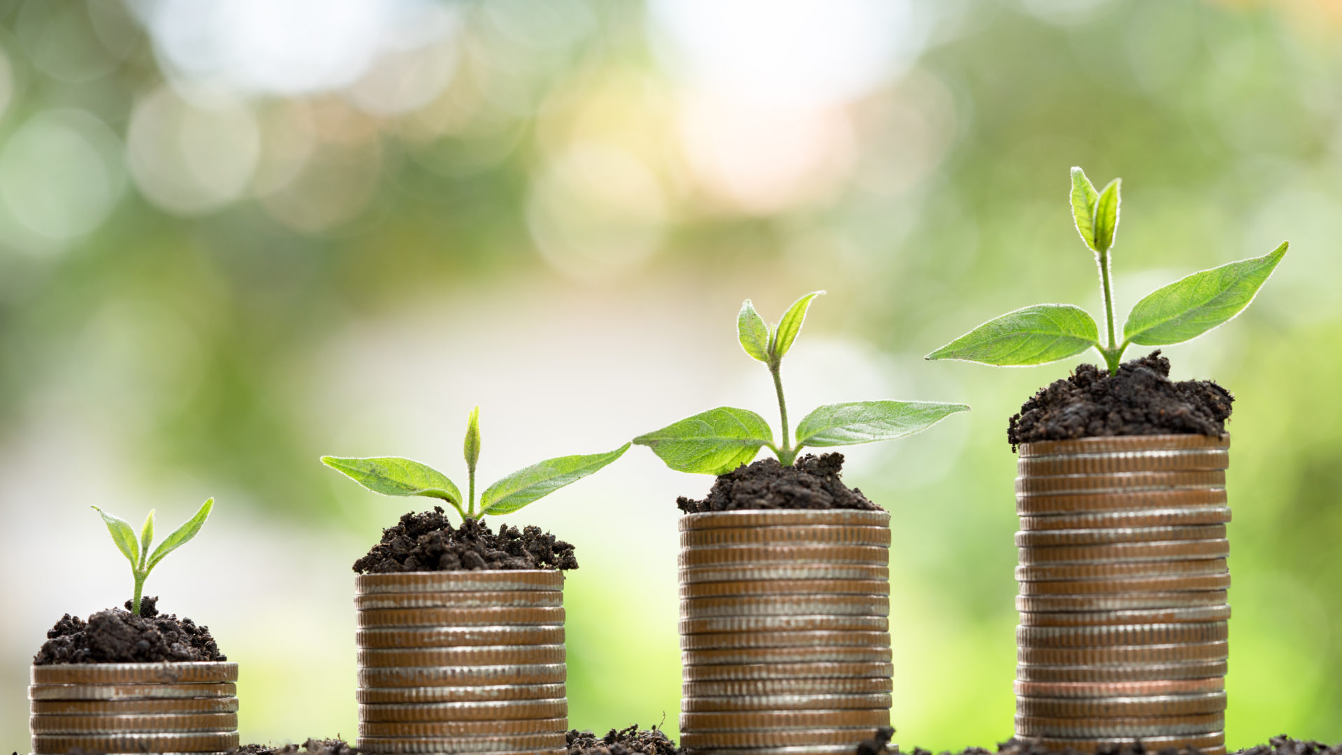 How Financial Habits Shape Your Future: Simple Money Habits That Can Make a Difference